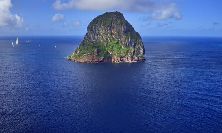 Transat Café l'Or, arrivée en Martinique au Diamant